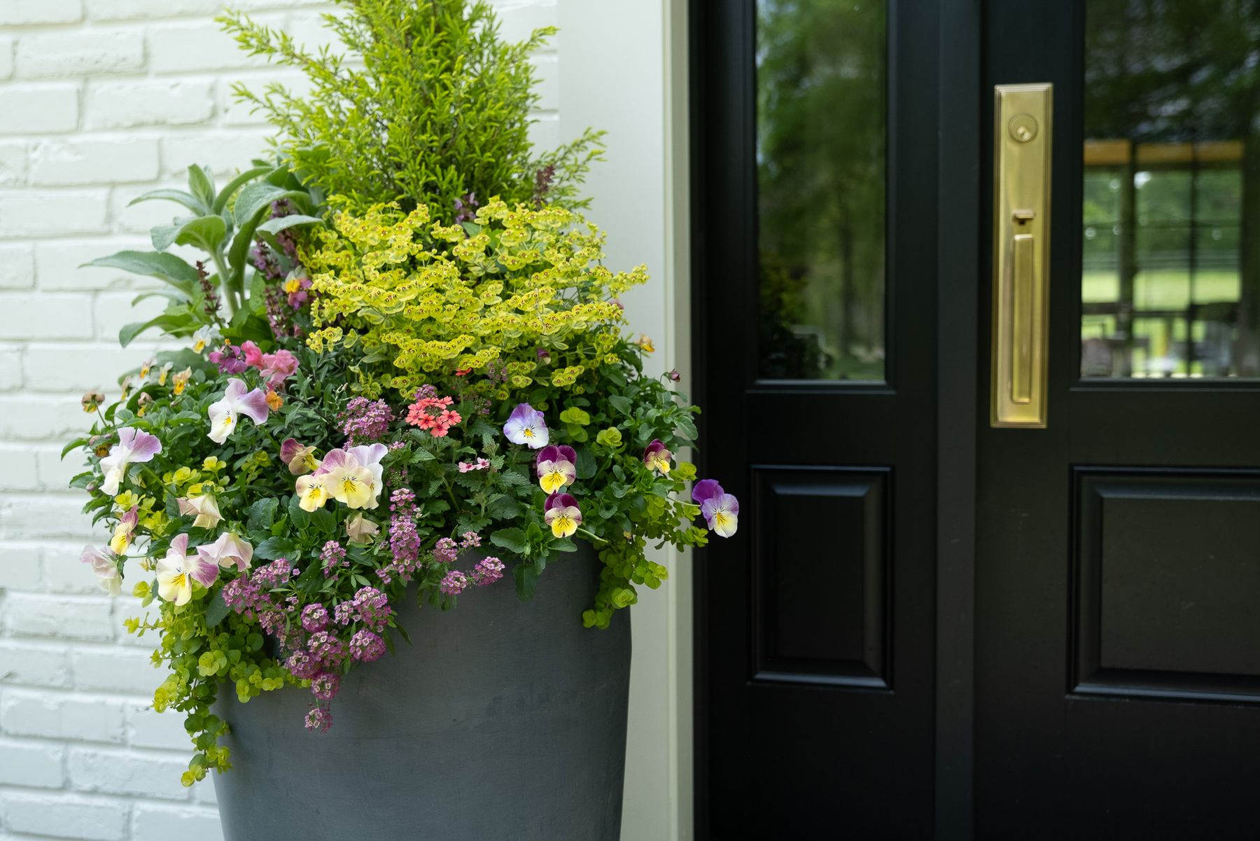 Enliven Planters spring container arrangement
